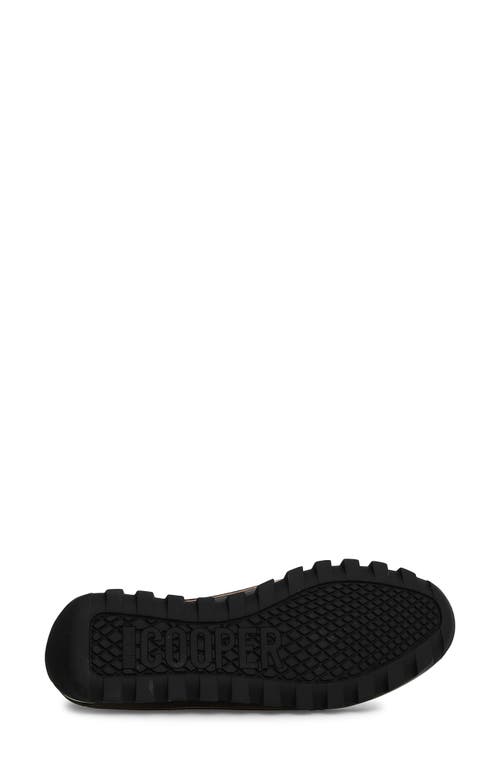 Shop Candice Cooper Janis Strip Sneaker In Black