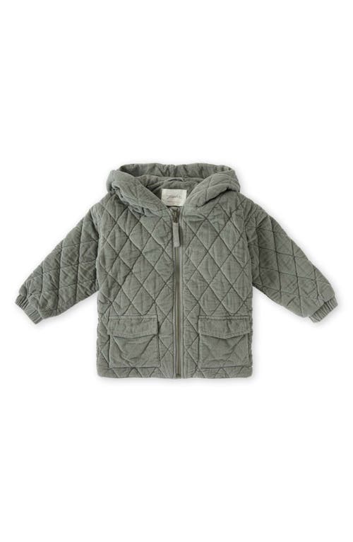 Pehr Organic Cotton Corduroy Quilted Hooded Jacket In Green