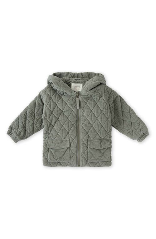 Pehr Babies'  Organic Cotton Corduroy Quilted Hooded Jacket In Green