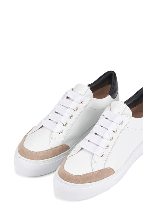 Shop Agl Attilio Giusti Leombruni Agl Piera Leather Sneaker In Neutral-white-nero-white