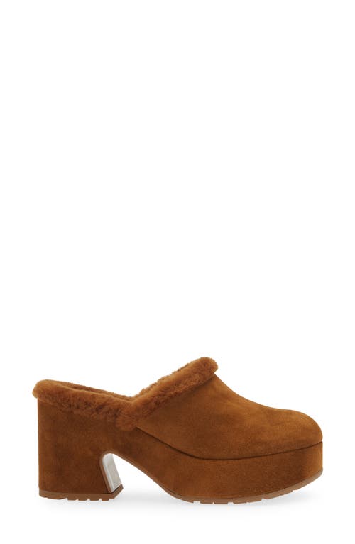 Shop Gianvito Rossi Lyss Genuine Shearling Mule In Texas/texas