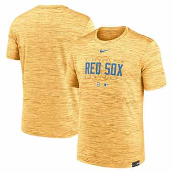 Milwaukee Brewers Nike Powder Blue City Connect Dri-FIT Practice T-Shirt