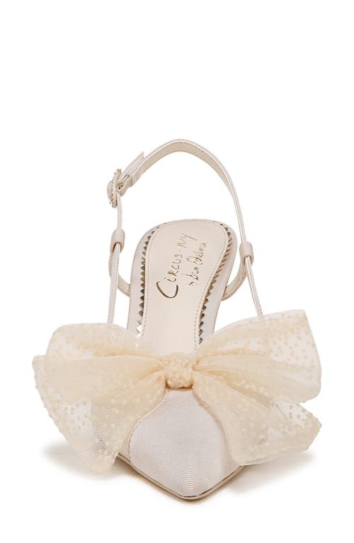 Circus Ny By Sam Edelman Tess Pointed-toe Slingback Bow Pumps In Vanilla Bean