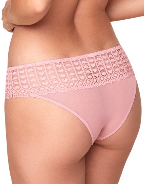 Shop Adore Me Nymphadora Cheeky Panties In Medium Pink