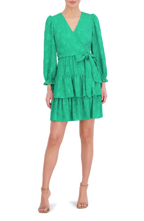 Eliza J Floral Appliqué Long Sleeve Tiered Dress Green at Nordstrom,
