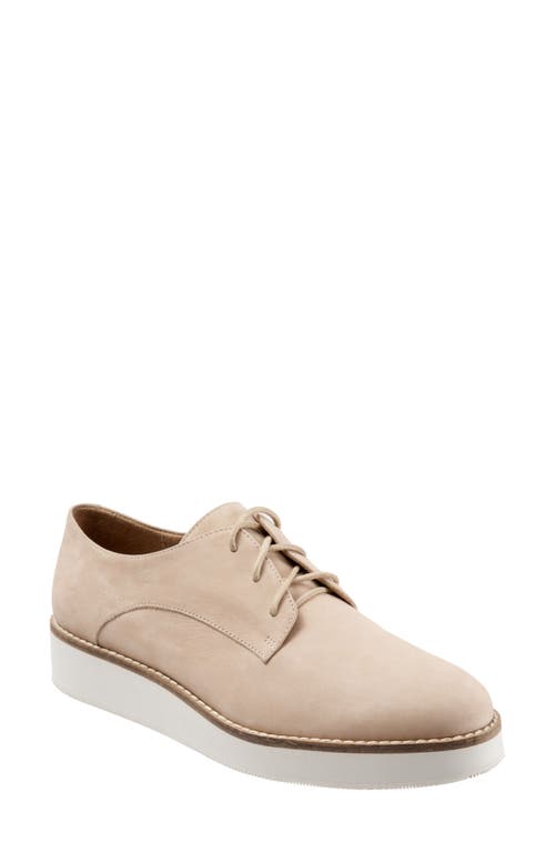 SoftWalk Willis Derby in Sand Leather at Nordstrom, Size 11