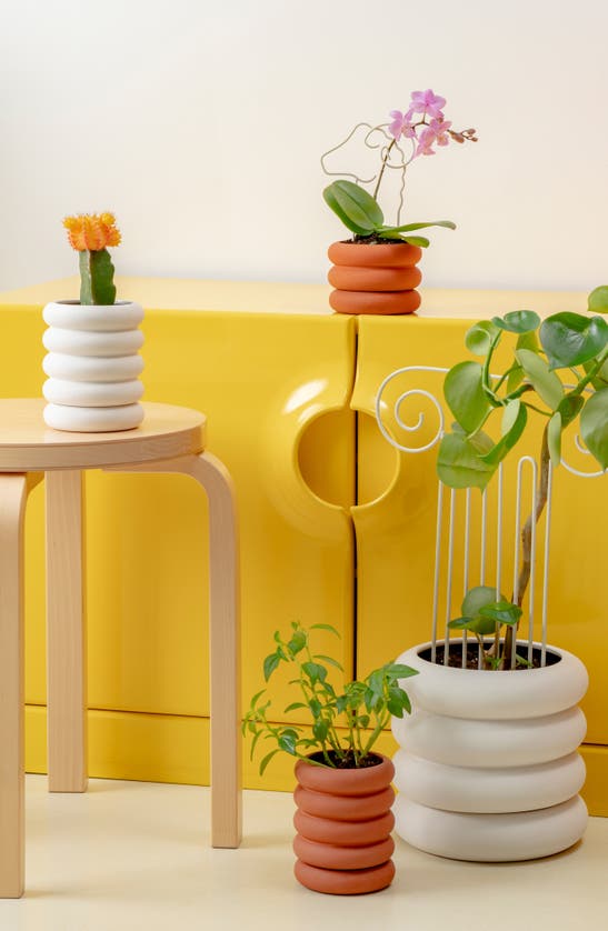 Shop Areaware Mini Tall Stacking Planter In Terracotta