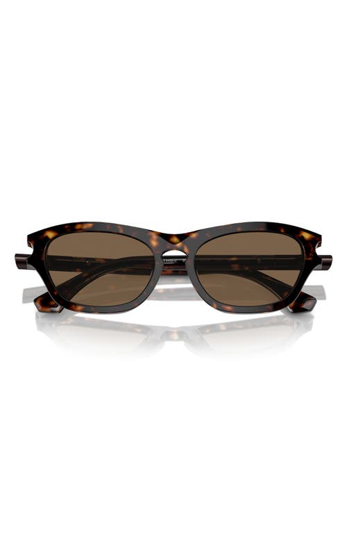 Burberry 55mm Pillow Sunglasses In Brown