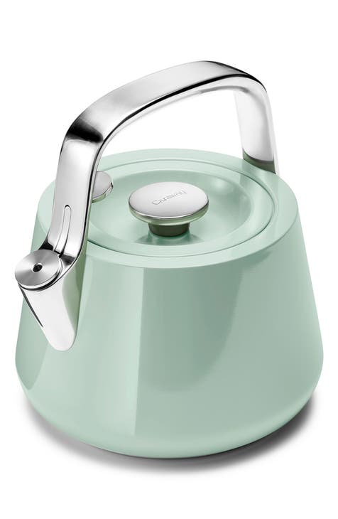 Rise N Shine Mint Green Solid Stainless Steel Electric Kettle