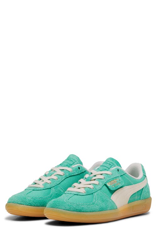 Shop Puma Palermo Sneaker In Jade Frost-frosted Ivory-gum