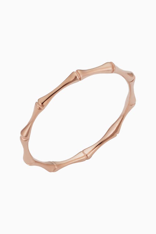 Shop Oradina 14k Rose Gold Amalfi Petite Ring