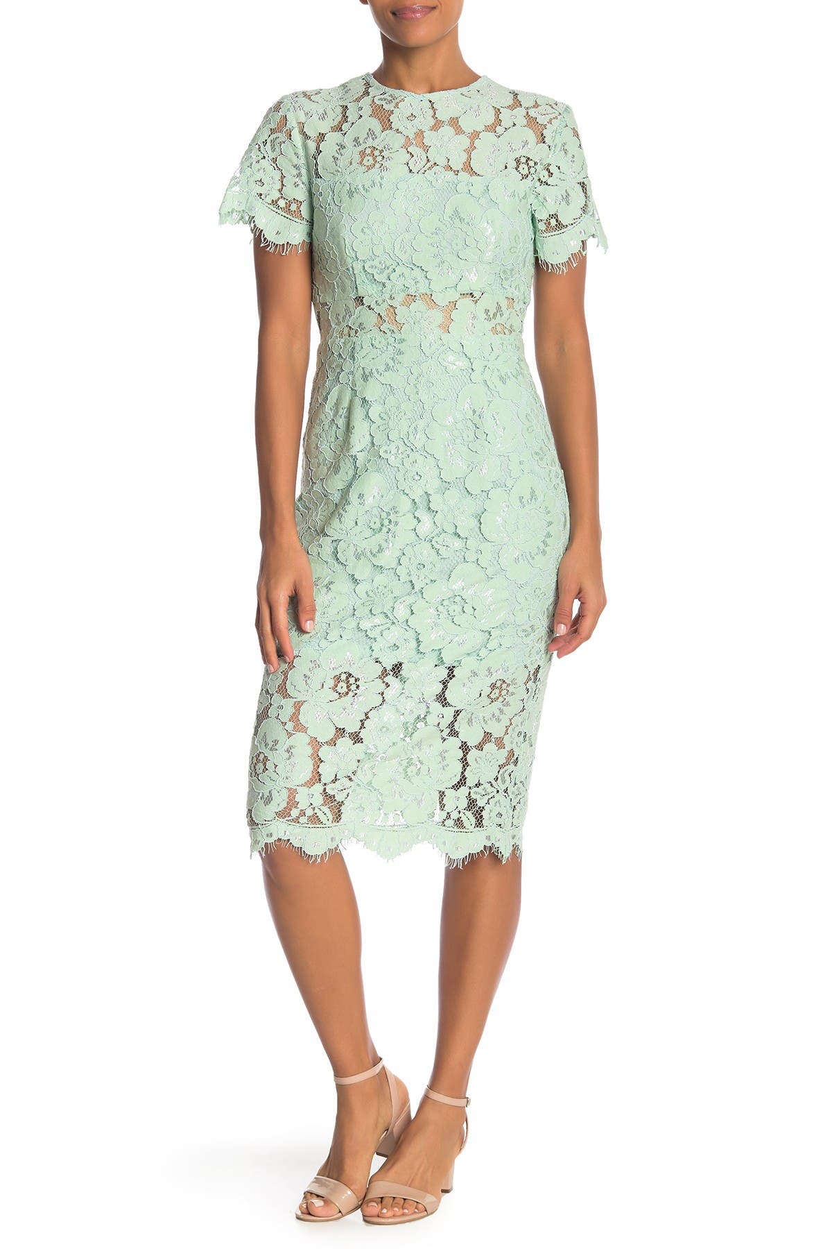 nsr lace short sleeve sheath midi dress