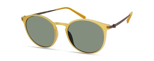MODO MODO 701 SUNGLASSES