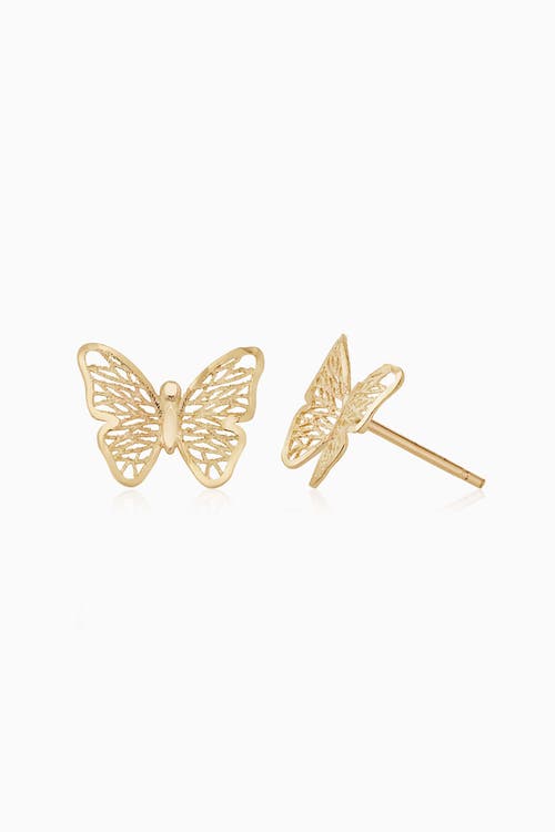 Shop Oradina 14k Yellow Gold Social Butterfly Studs