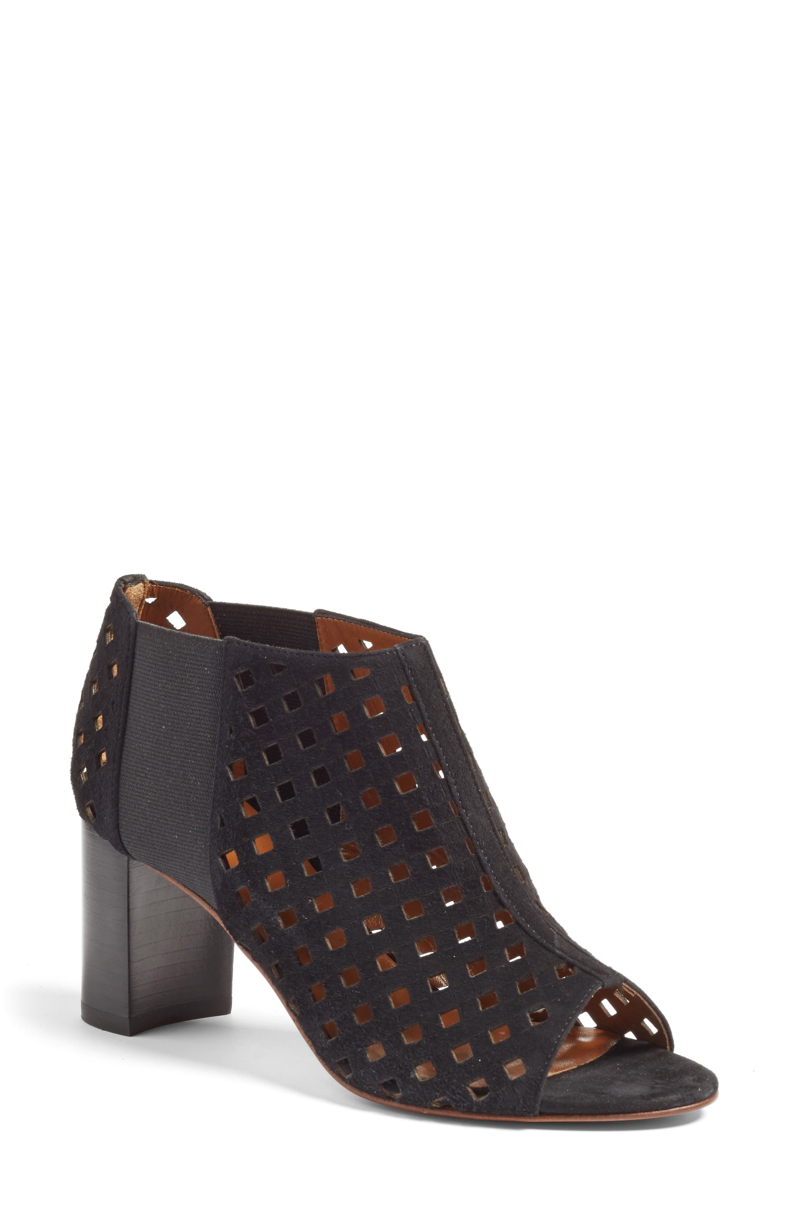 aquatalia faria bootie