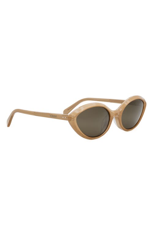 Shop Celine Cat Eye Sunglasses In Beige/brown