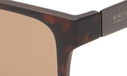 Shop Kenneth Cole 57mm Square Sunglasses In Dark Havana/brown