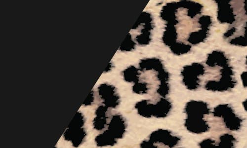 Kusshi Vacationer Makeup Bag In Black/leopard