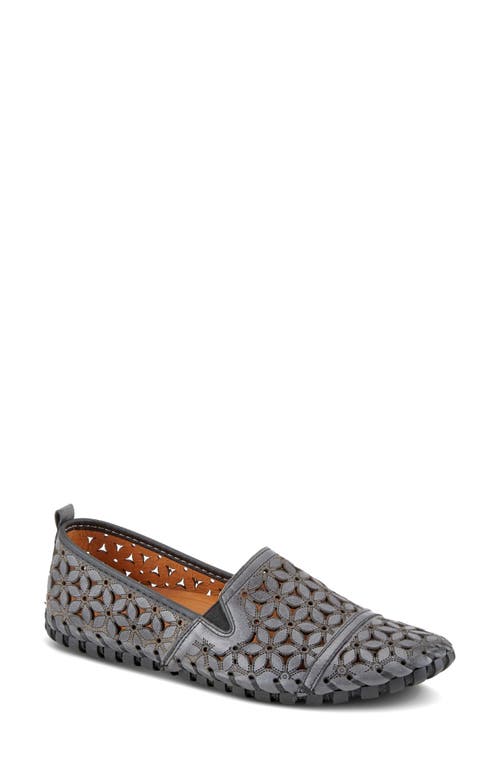 Shop Spring Step Flowerflow Flat In Charcoal