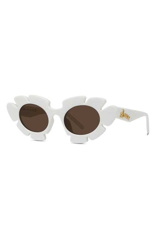 Shop Loewe X Paula's Ibiza Flower 47mm Small Cat Eye Sunglasses In White/brown