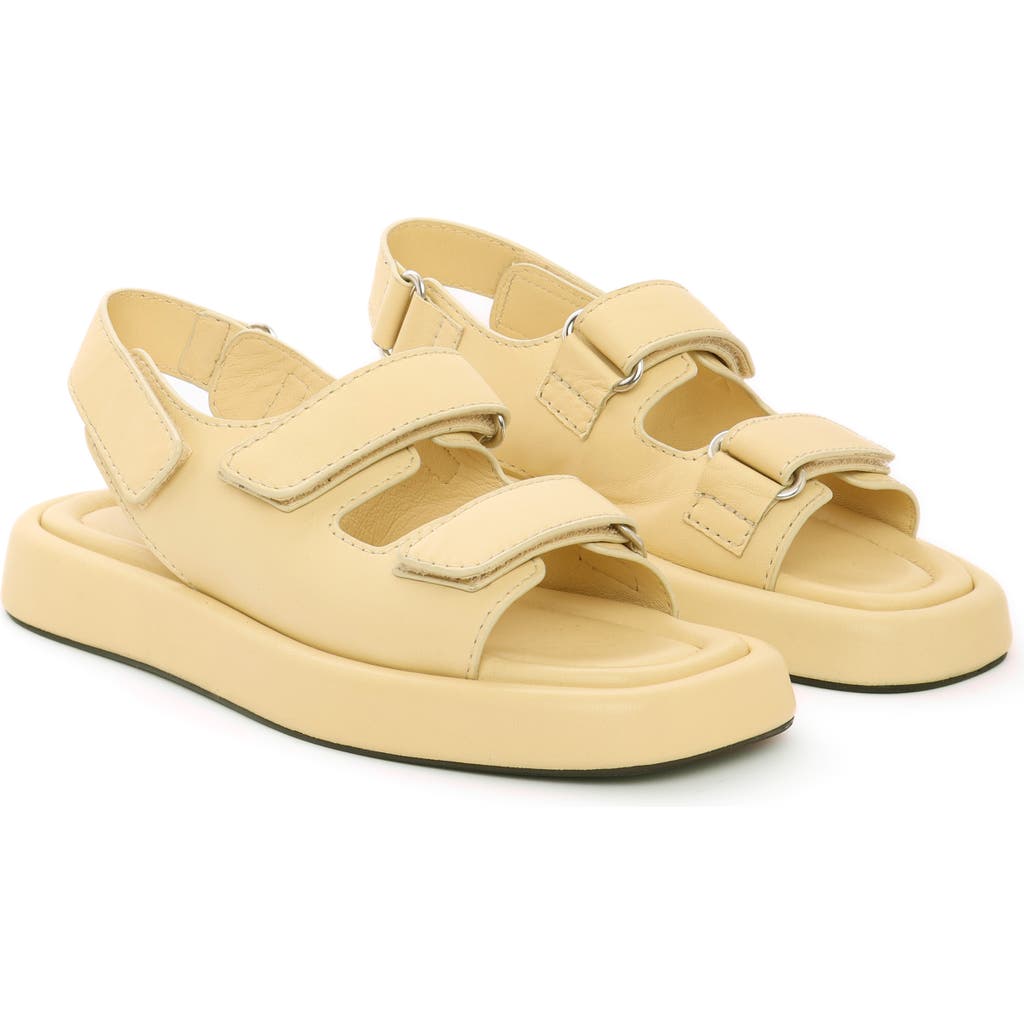 Maguire Murcia Olive Sandal In Butter Cream