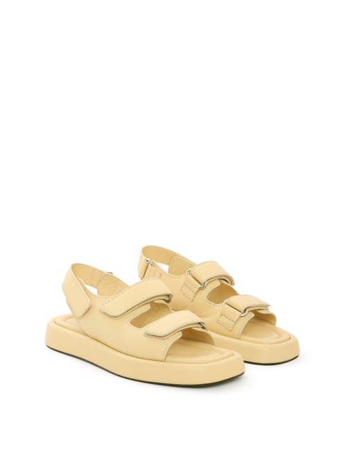 Maguire Murcia Sandal Butter Cream at Nordstrom,