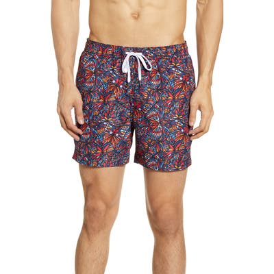 Onia Butterfly Print Swim Trunks, Blue