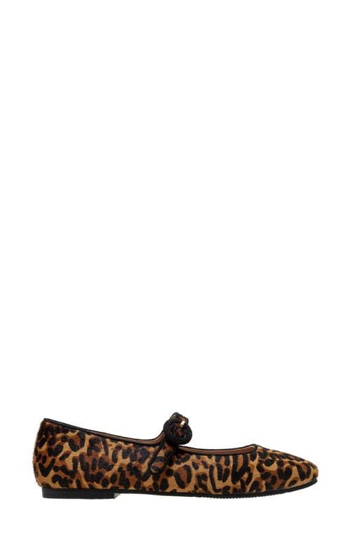 Shop Linea Paolo Marley Leopard Print Genuine Calf Hair Flat In Cognac/black