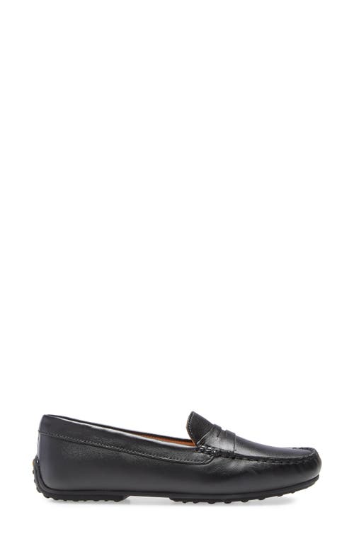 Shop Samuel Hubbard Free Spirit Penny Loafer In Black Suede