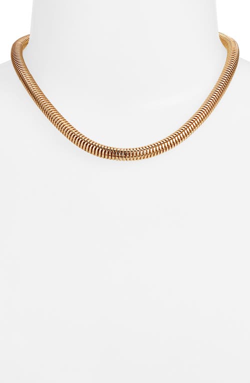 Shop Nordstrom Round Snake Chain Necklace In Gold