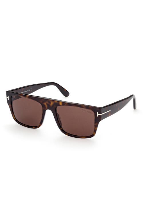 Shop Tom Ford Dunning 55mm Rectangular Sunglasses In Shiny Dark Havana/brown