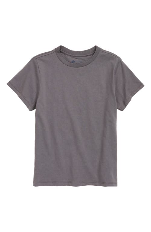 Tucker + Tate Kids' Essential Cotton Blend T-Shirt in Grey Castlerock
