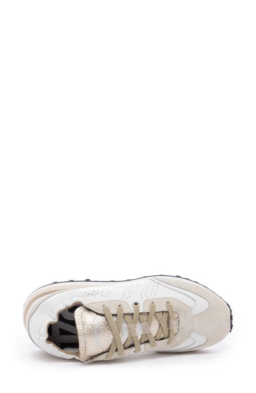 P448 Kelli Sneaker In Latte-fix