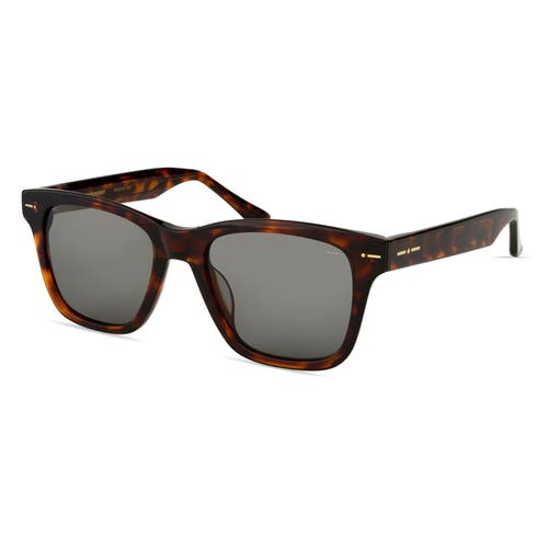 Shop Italia Independent Accelerazione Sunglasses In Havana