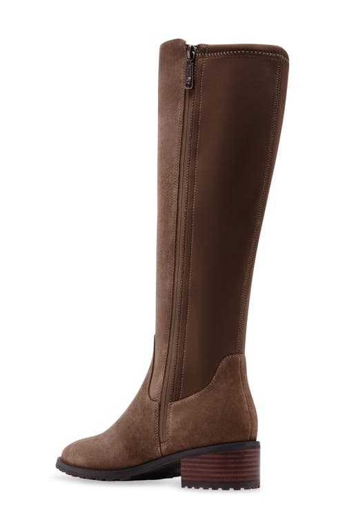 Shop Blondo Symone Waterproof Knee High Boot In Taupe Suede