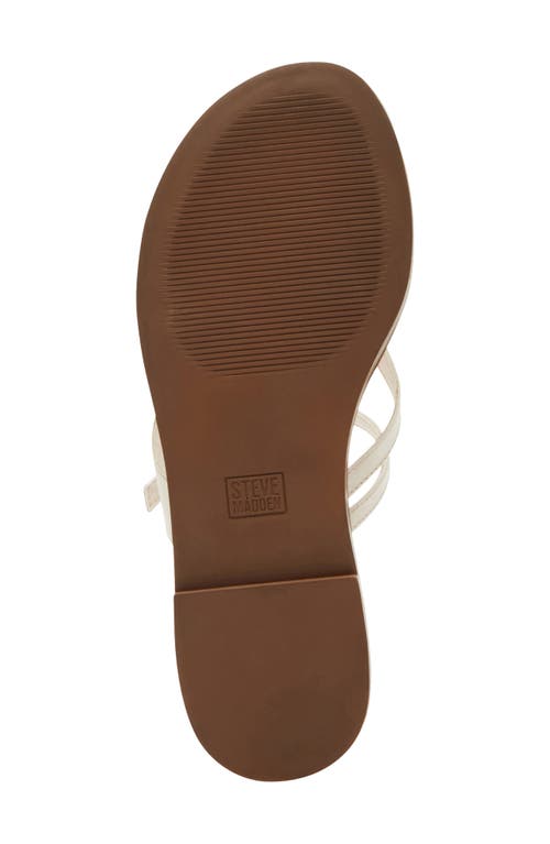 Steve Madden Roca Strappy Sandal In Bone Leather