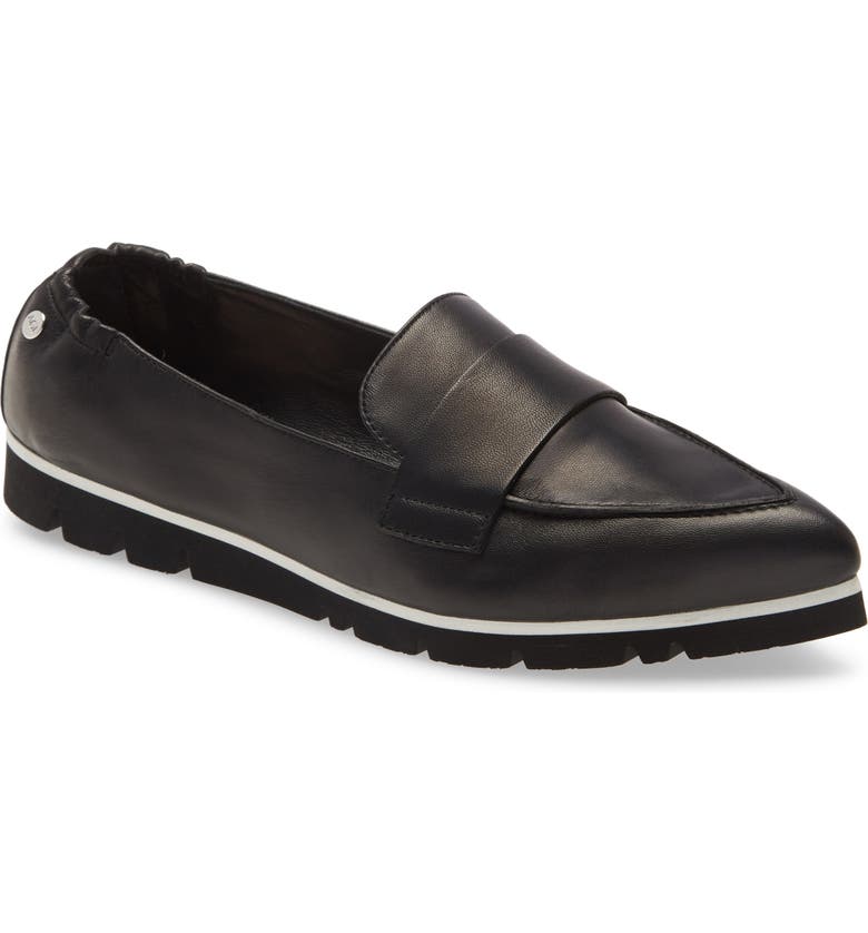 AGL Micro Pointed Toe Loafer (Women) | Nordstrom