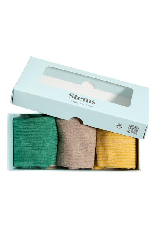 Shop Stems Assorted 3-pack Rib Cotton & Cashmere Blend Socks In Fern/ochre/gris