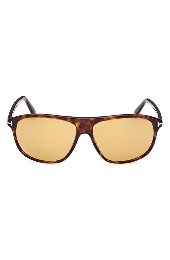 Tom Ford Prescott 60mm Square Sunglasses In Brown