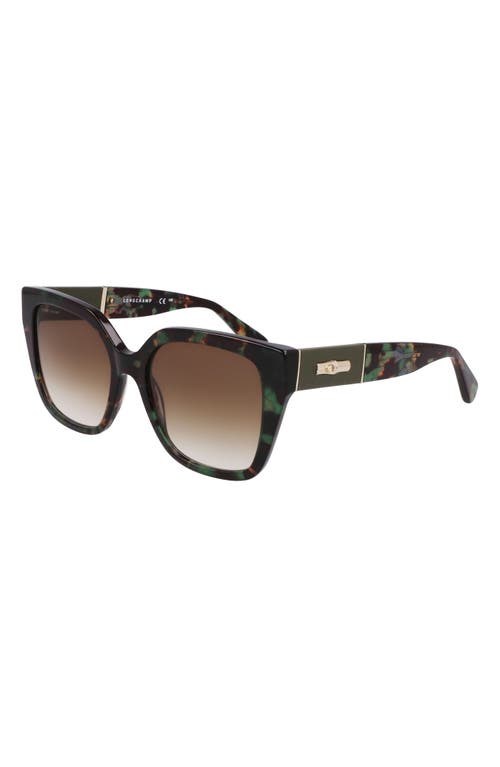 Shop Longchamp Roseau 54mm Butterfly Sunglasses In Green Havana