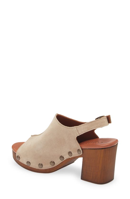 Shop Cordani Winnie Slingback Sandal In Camoscio Corda