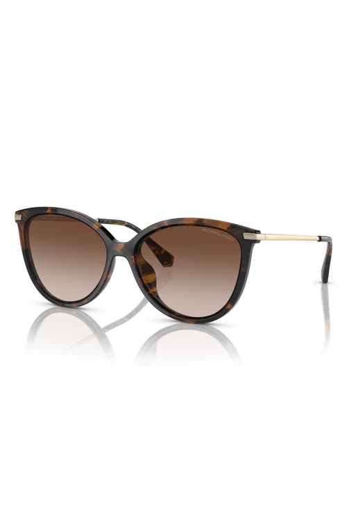 Michael Kors 56mm Gradient Cat Eye Sunglasses In Dark Tortoise