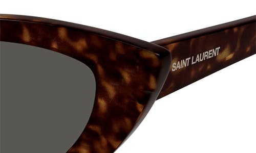 Shop Saint Laurent Lily 52mm Cat Eye Sunglasses In Havana