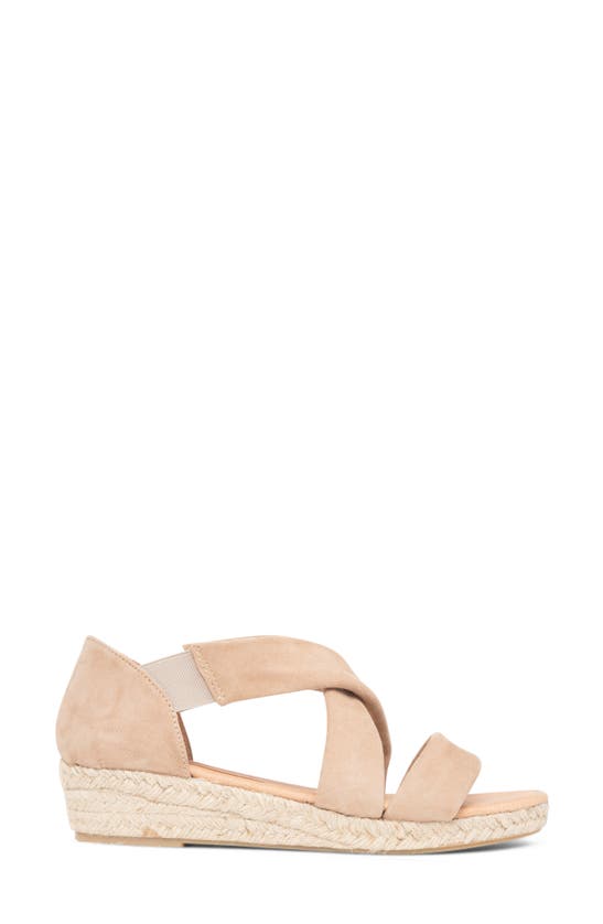 Shop Patricia Green Eliza Platform Wedge Espadrille Sandal In Taupe