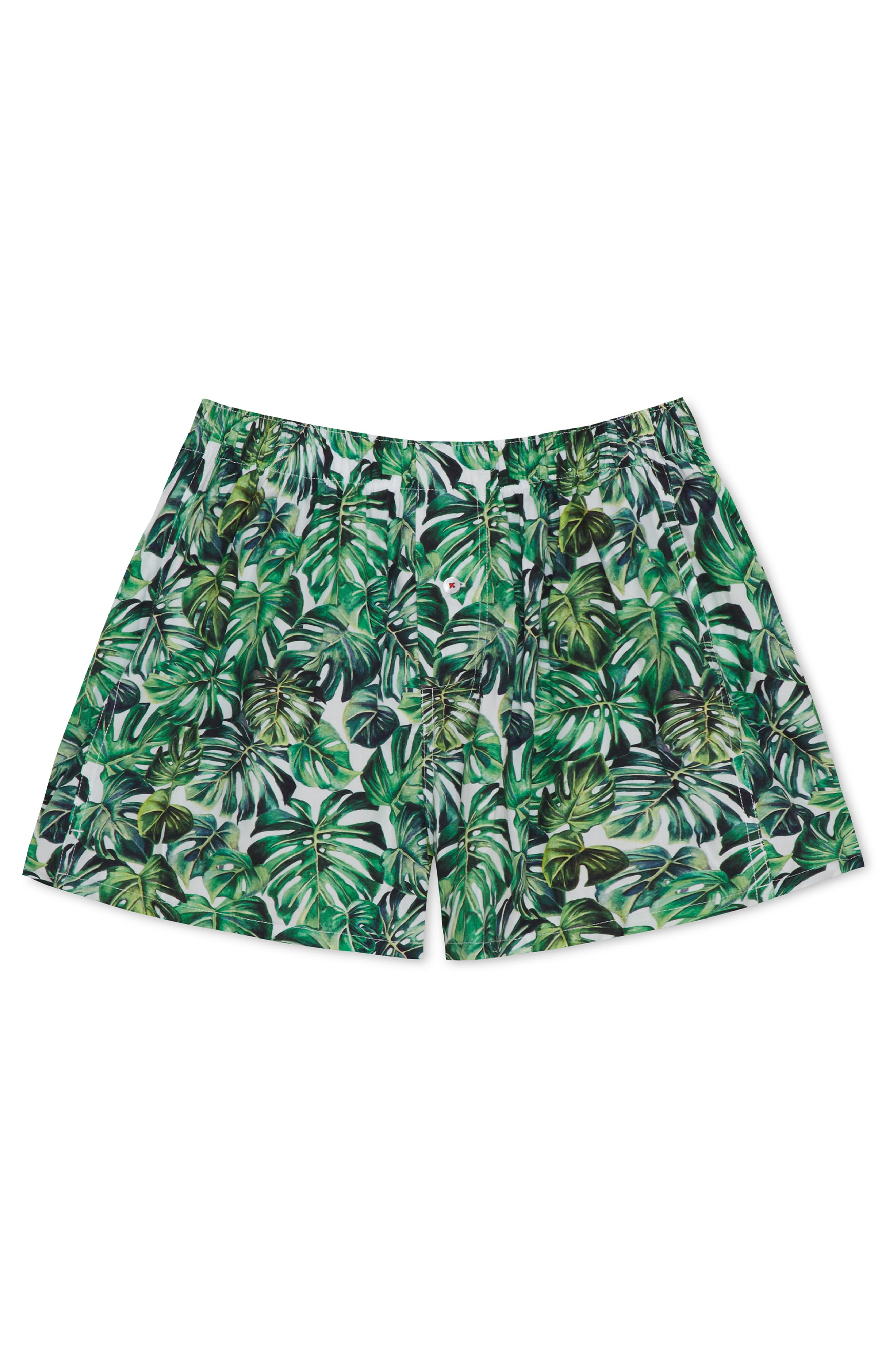 Druthers Nyc Organic Cotton Monstera Boxer Short In Green