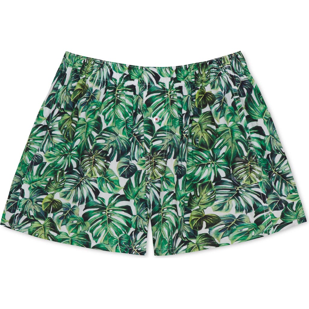 Druthers Nyc Organic Cotton Monstera Boxer Short In Green