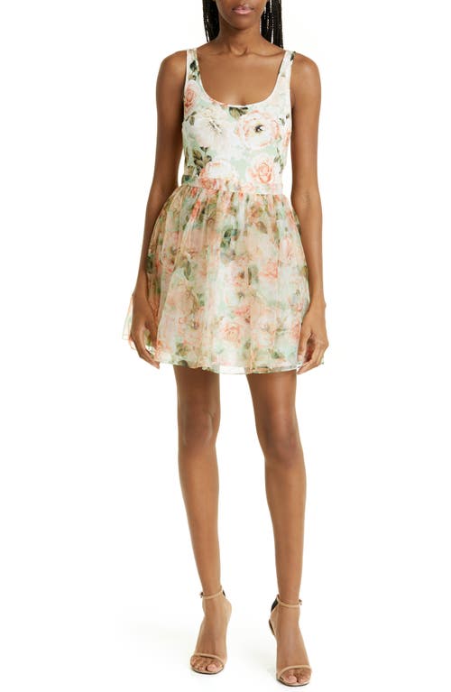 Alice + Olivia Chara Floral Tulle Silk Minidress in Morningside Floral Pistachio
