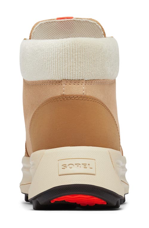 Sorel Ona 503 Hiker Platform Sneaker In Canoe/bleached Ceramic