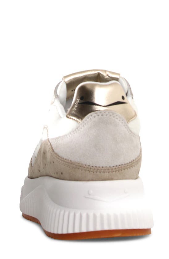 Shop Voile Blanche Lana Fresh Platform Sneaker In Sand White
