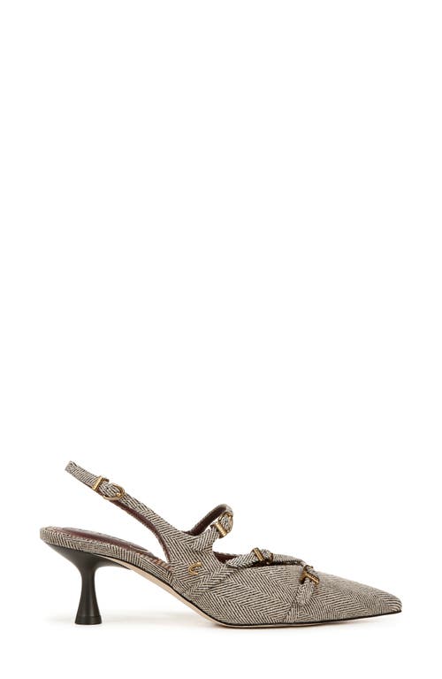 Shop Circus Ny By Sam Edelman Fraya Slingback Pointed Toe Pump In Brown/natural